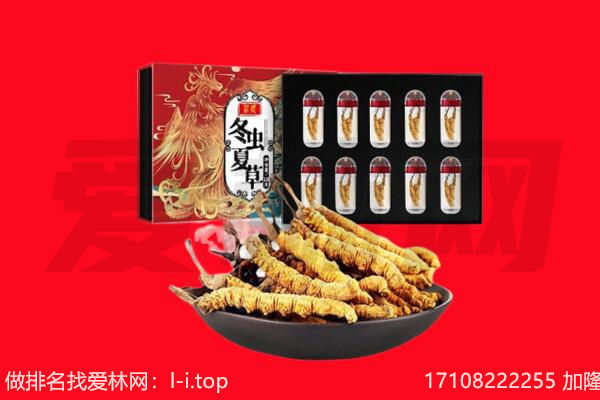 远安县回收虫草.jpg